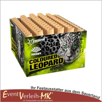 Coloured Leopard, 72-Schuss Batterie